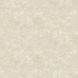 Northcott Studio - Canvas Print - Linen