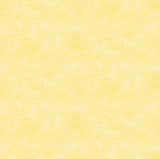 Northcott Studio - Canvas Print - Lemoncello