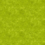 Northcott Studio - Canvas Print - Chartreuse