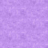Northcott Studio - Canvas Print - Lilac
