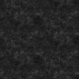 Northcott Studio - Canvas Print - Ebony