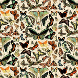 PREORDER - Tim Holtz - Palette Canvas Cloth - Butterflies in Teal