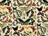 PREORDER - Tim Holtz - Palette Canvas Cloth - Butterflies in Teal