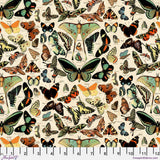 PREORDER - Tim Holtz - Palette Canvas Cloth - Butterflies in Teal