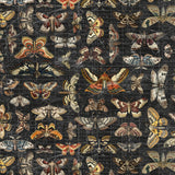 PREORDER - Tim Holtz - Palette Canvas Cloth - Moth Study