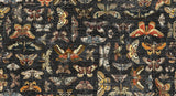 PREORDER - Tim Holtz - Palette Canvas Cloth - Moth Study