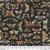 PREORDER - Tim Holtz - Palette Canvas Cloth - Moth Study