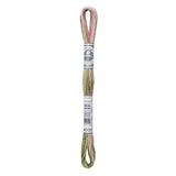 Dmc Cotton Embroidery Floss - Coloris 4500 Columbine Gardens Thread