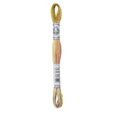 Dmc Cotton Embroidery Floss - Coloris 4508 Frosted Countryside Thread