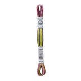 Dmc Cotton Embroidery Floss - Coloris 4509 Granite Coast Thread