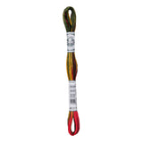Dmc Cotton Embroidery Floss - Coloris 4511 Indian Summer Thread