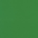 Kona Cotton - Wander - COTY 2026