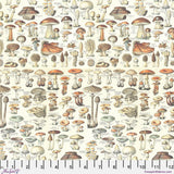 PREORDER - Tim Holtz - Palette - Orange Toadstools