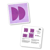 PRÉCOMMANDE NOVEMBRE - Jeu de cartes de blocs de courtepointe - Holly Clarke