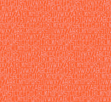 Carolyn Friedlander - Memento - Alphabet en Floride