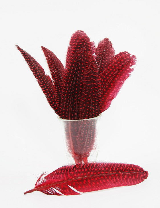 Guinea Fowl Quill 6-9